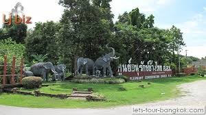 The Thai Elephant Conservation Certer Lampang