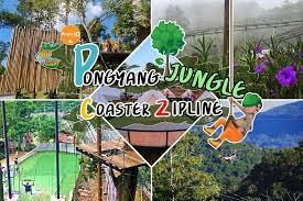 Pongyang Jungle Coaster Zipline Camp & Resort