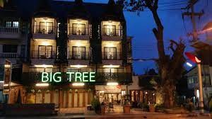 Big Tree Old Town Hotel