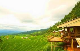 Pa Bong Piang Rice Terraces