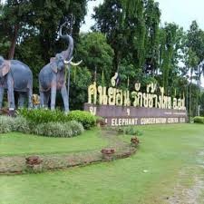 Thai Elephant Conservation Center