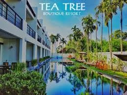 Tree Boutique Resort