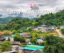 Nong Tong